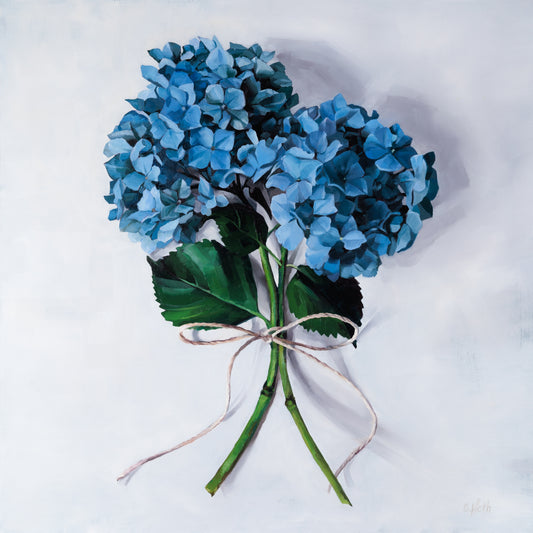 Hydrangeas for: (viewer fill in the blank)